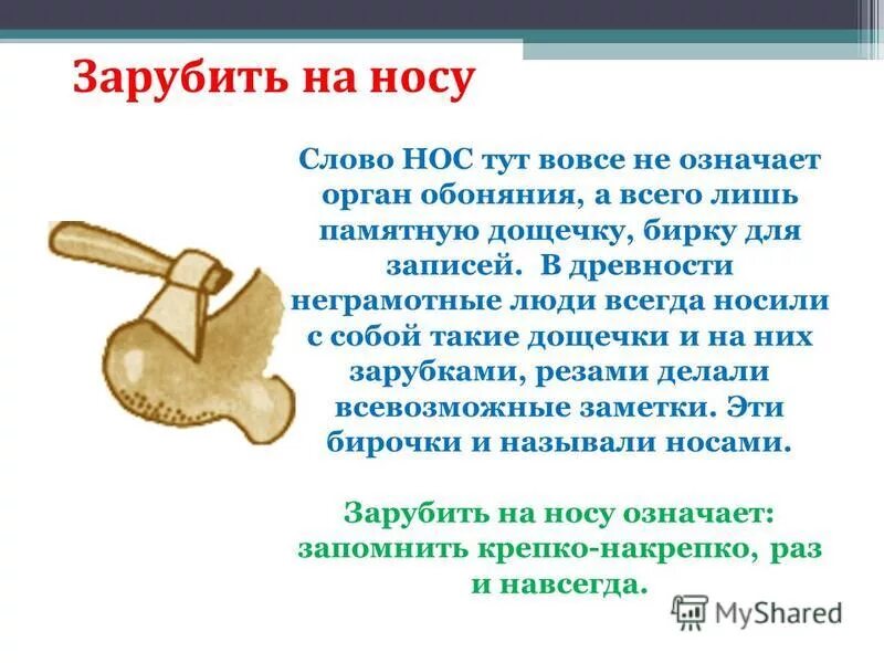 Слово нос глагол