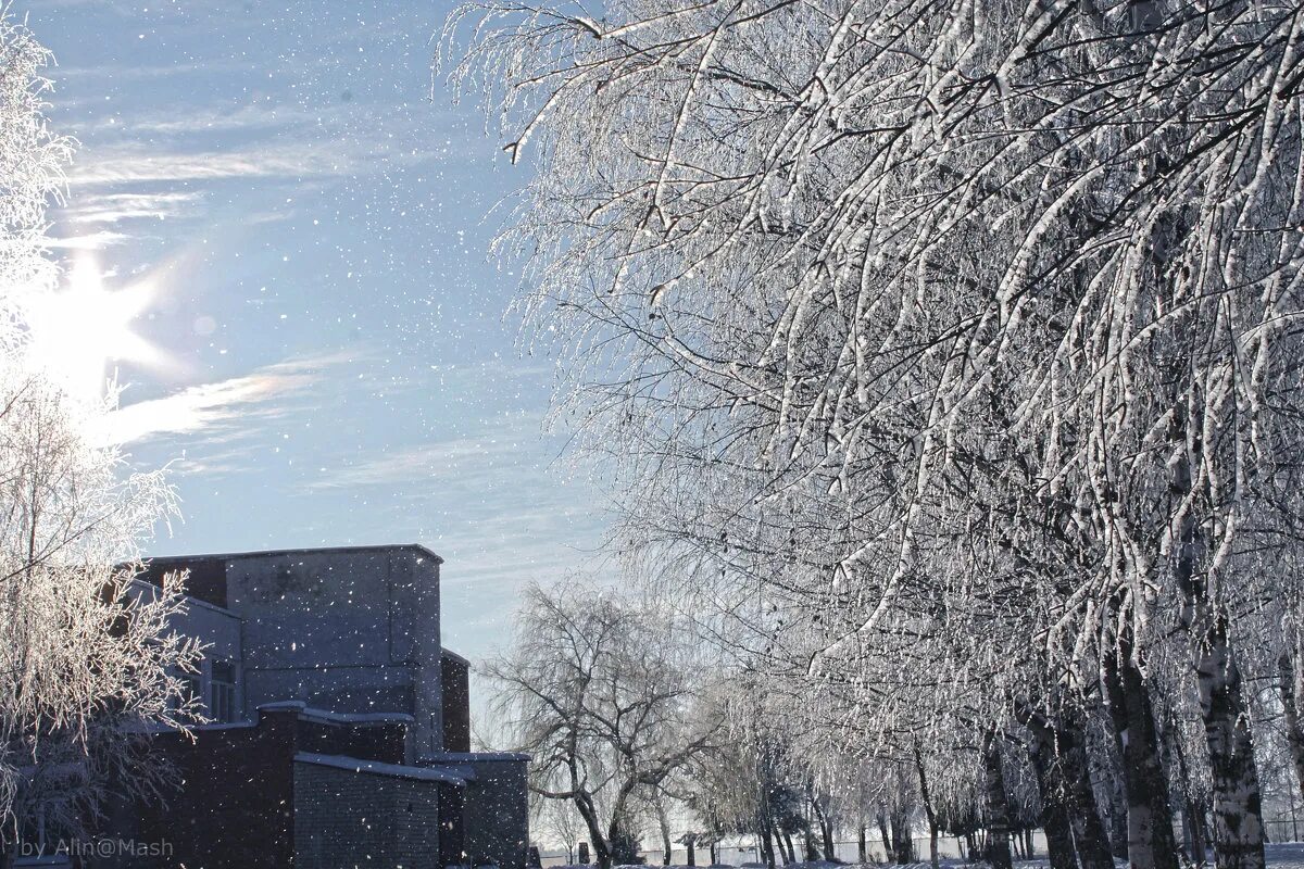 музыкальная школа зима