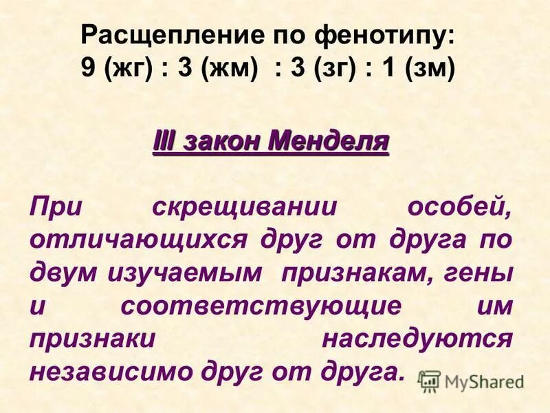 Что такое 3 в расщеплении по фенотипу. Расщепление по фенотипу 1 1. 9 3 3 1 расщепление по фенотипу. Расщепление по фенотипу 1 1. Расщепление по фенотипу 3 1.