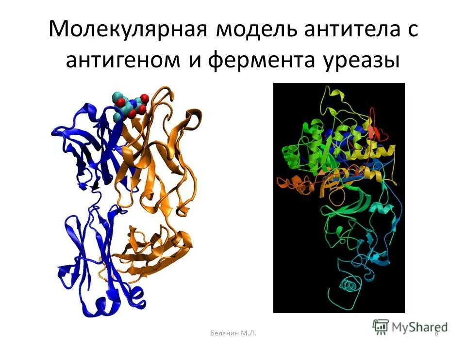 Фермент уреаза