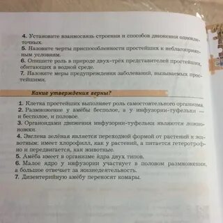 Какие утверждения верны клетка простейших выполняет