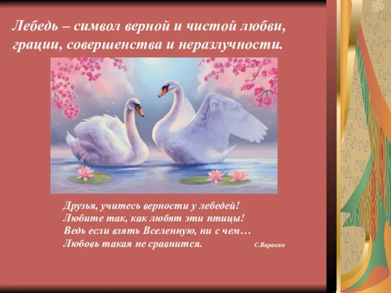 Что означает верность. Лебеди символ любви и верности. Что символизирует лебедь. Лебединая любовь и верность. Стихи о лебединой ревности.