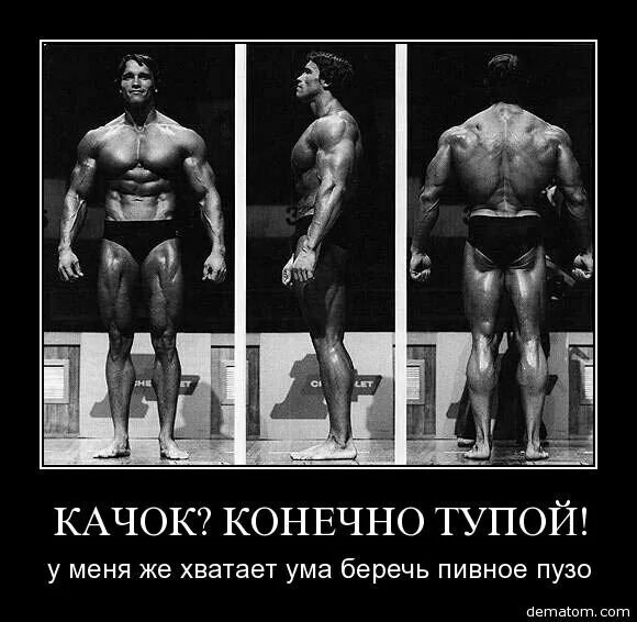 бодибилдеры мистер олимпия 1980. глупые качки. нассер эль сонбати 2013. арни мистер олимпия. качки мемы.
