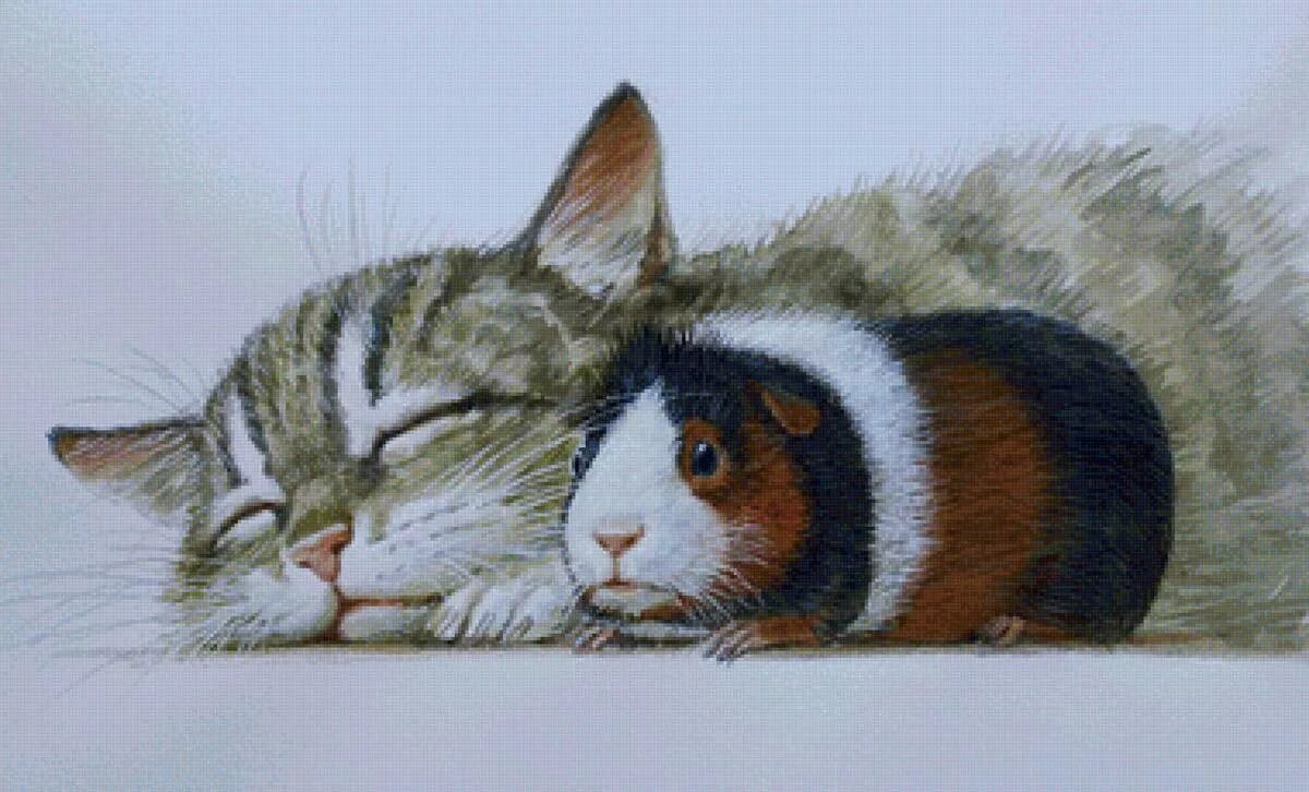 Морская свинка и кошка. Коты художника Владимира Стахеева.