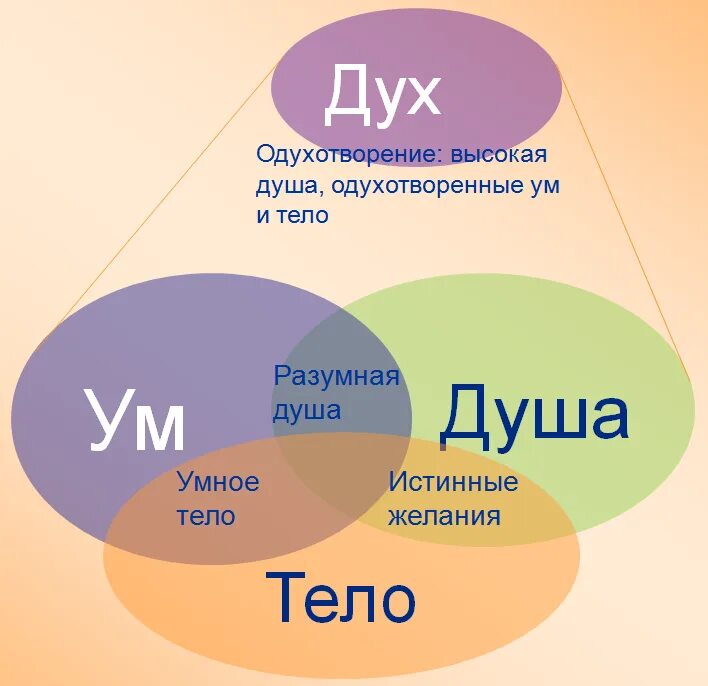 Душа определение 5. Дух, душа и тело. Дух душа тело разум. Триединство душа тело разум. Человек дух душа тело.