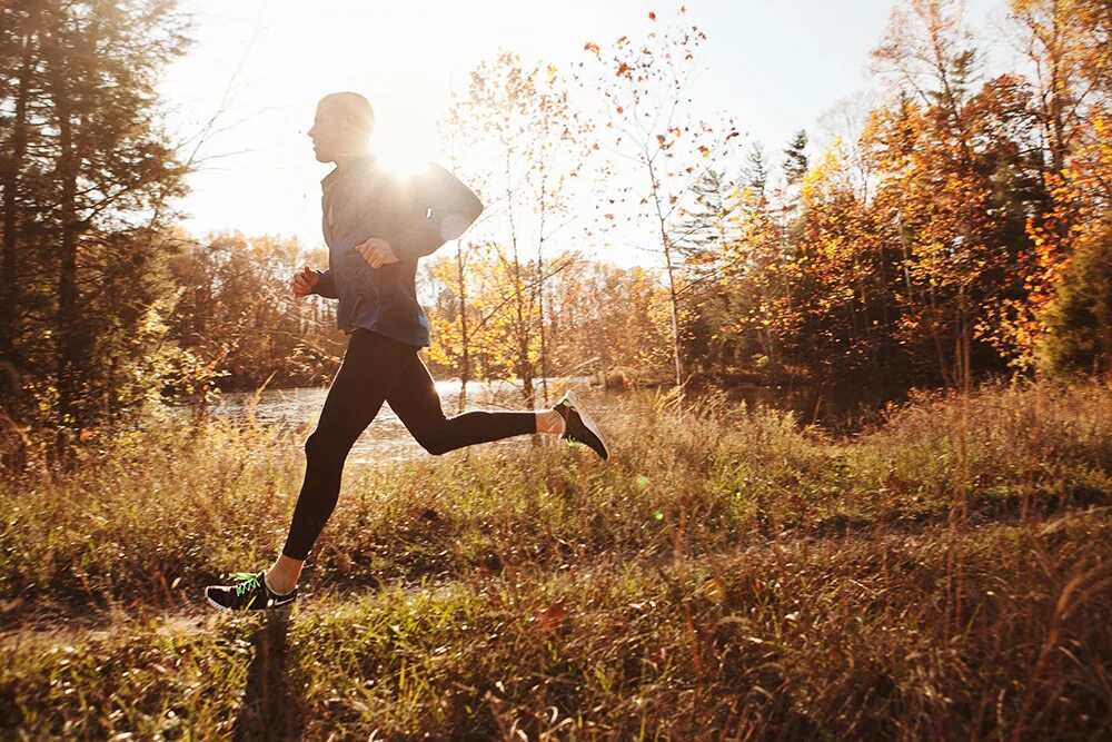 Fall run