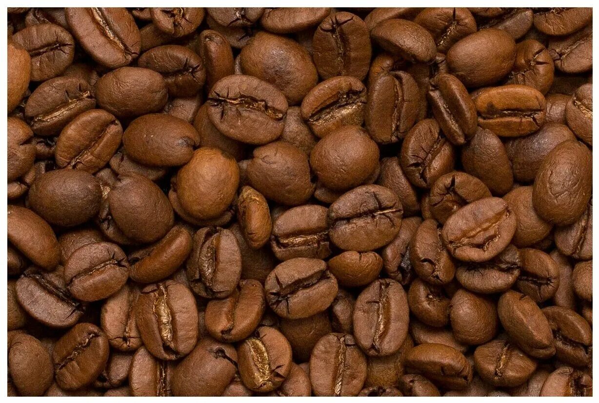 кофе бразилия арабика сорт. бразильская арабика. кофе в зернах бразилия сантос. бразилия сантос 17/18 кофе. кофе арабика 100% бразилия.