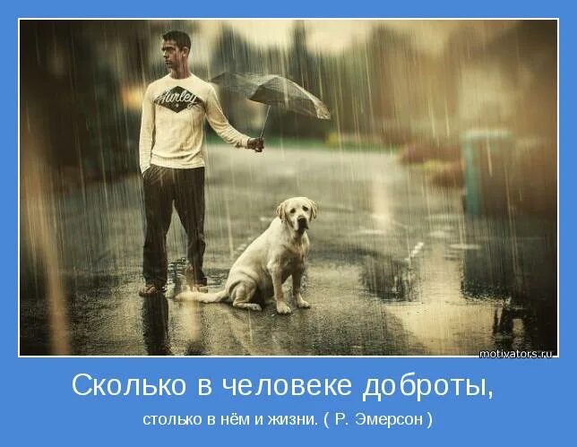 Сколько в человеке доброты столько. Добрые поступки. Доброта картинки. Доброта сколько. Доброта сколько.