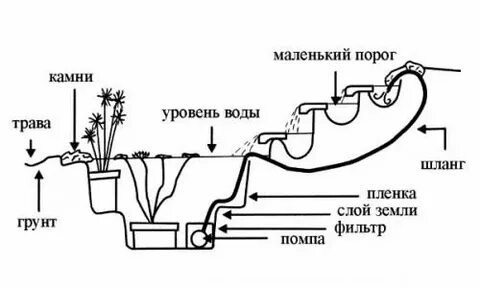 Пруд схема