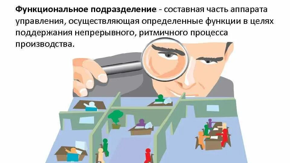 Функциональные подразделения организации. Управление деятельностью функционального подразделения. Функциональных подразделений корпораций.