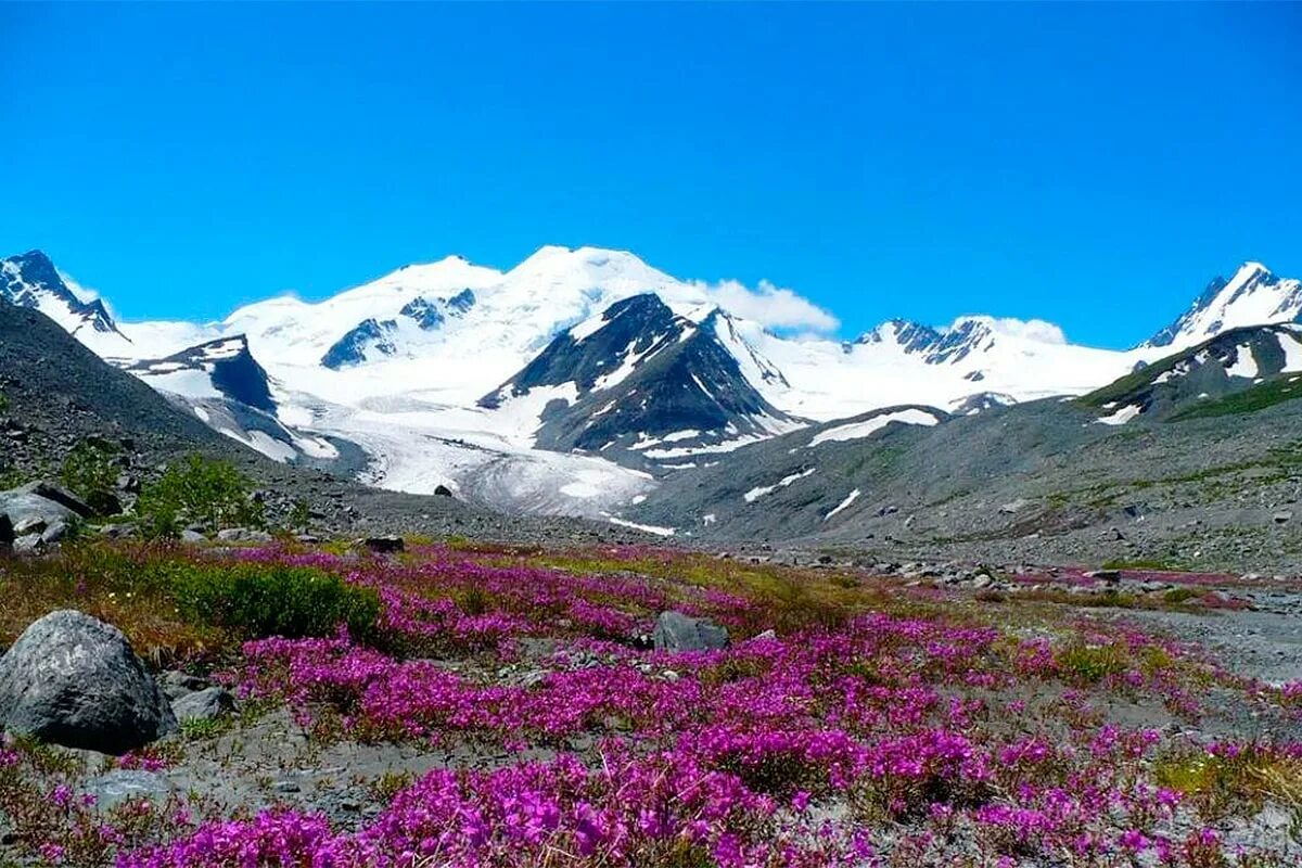 Барнаул горы Алтая. Ландшафт Алтайского края. Горный Алтай фото. Горный Алтай рельеф.