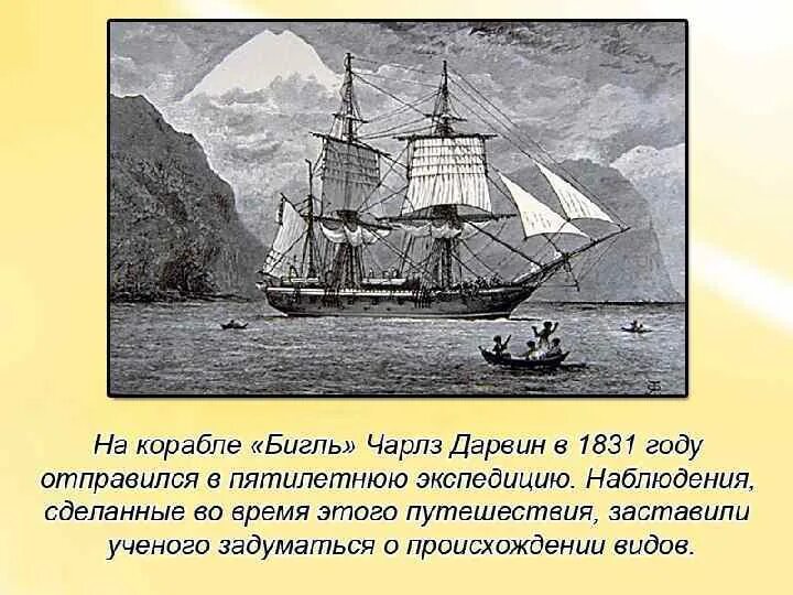 Перенесенные во время кругосветного путешествия испытания голод. Путешествие Дарвина на корабле Бигль. Путешествие натуралиста на корабле «Бигль» (1831—1836). Кругосветное путешествие Чарльза Дарвина. Ч Дарвин на корабле Бигль.