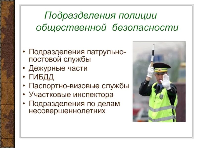 Общественная безопасность функции