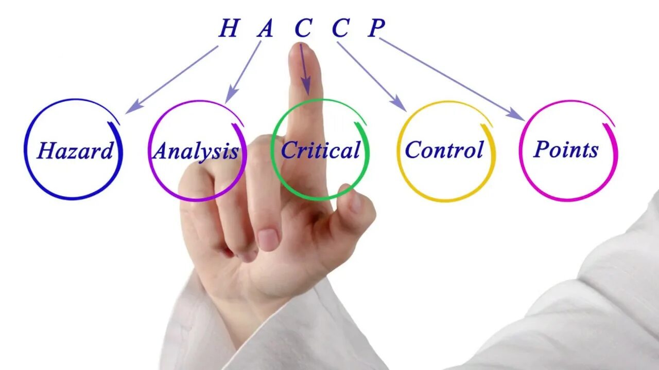 Points как получить. Hazard analysis and critical control points. hazard analysis and critical control points haccp. haccp – hazard analyses critical control points. насср пирамида.
