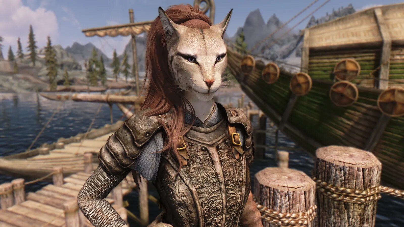 Скайрим новый персонаж. The Elder Scrolls каджит. Скайрим пресет каджитки. TESO каджитка. Каджиты Эльсвейра.