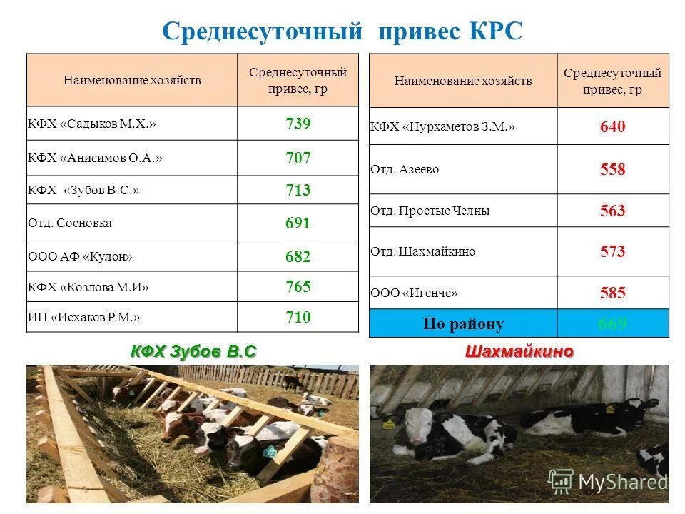 Форма 2 кфх. Форма 2 кфх