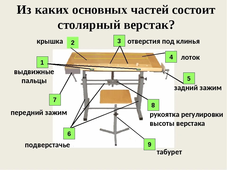 Ученический карандаш состоит из основной части. Столярный верстак 5 класс технология. Составные части столярного верстака. Верстак под DEWALT 745 чертеж. Подверстачье столярного верстака Назначение.