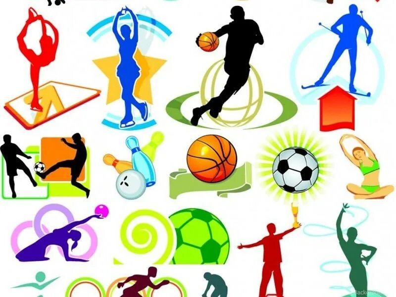 All sports life. Спортивная тематика. Картинки на спортивную тематику. Физическая культура и спорт. Спорт рисунок.