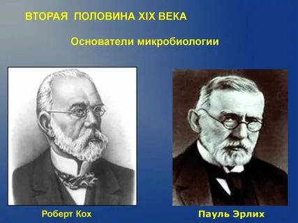 Основоположник микробиологии