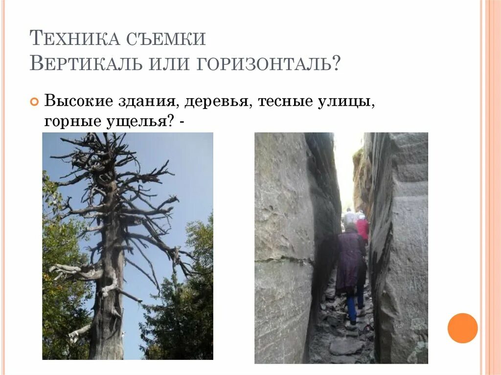Вертикаль примеры. Вертикаль или вертекаль. сфатографируьте человека у здания у дерево у левого края снимка.