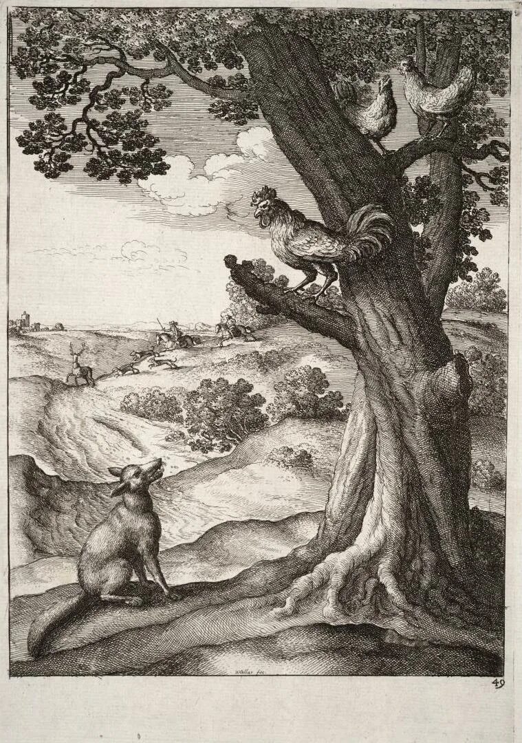 Басня лафонтена петух и лиса. Ворон и лисица басня эзоп. Иллюстрация к басне. Басня лафонтена петух и лиса. Иллюстрация к басне.