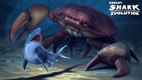 Крабы в игре hungry shark