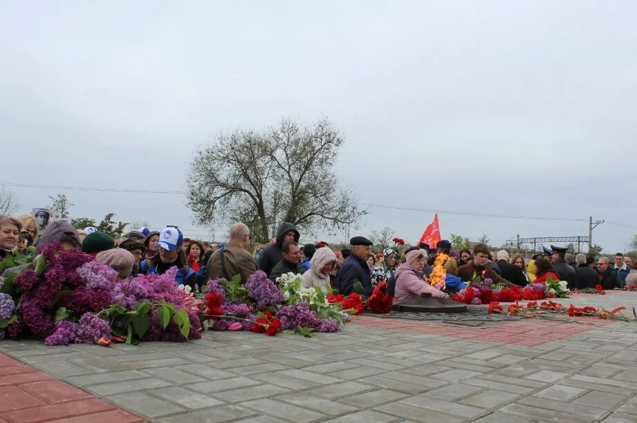 Сулин ростовская область новости. Красный сулин. жанет красный сулин. крысин красный сулин.