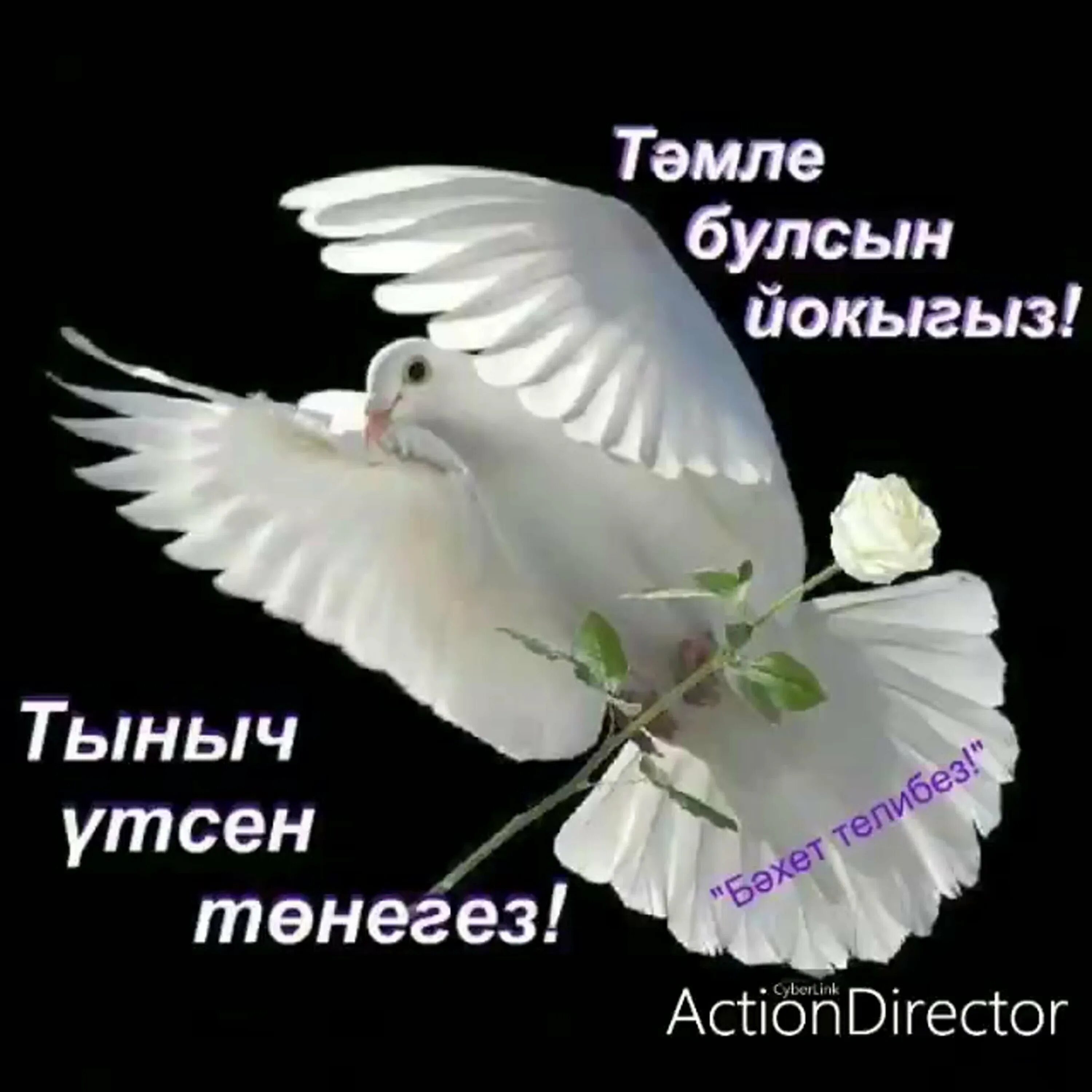 Доброй ночи картинки на татарском языке