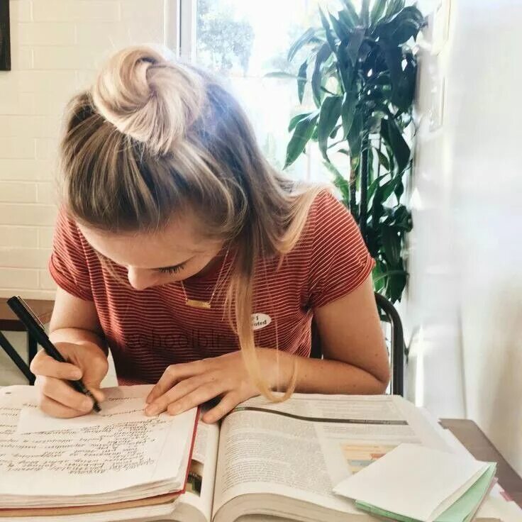 Study set