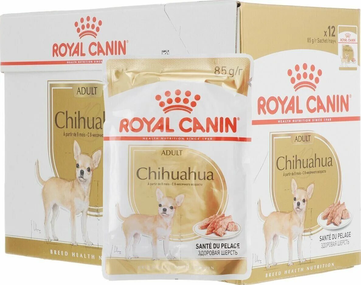 Корм роял канин для чихуа собак. 5кг. Сухой корм для чихуахуа роял канин. Роял канин чихуахуа паппи. Роял канин для собак мини эдалт 8 кг.