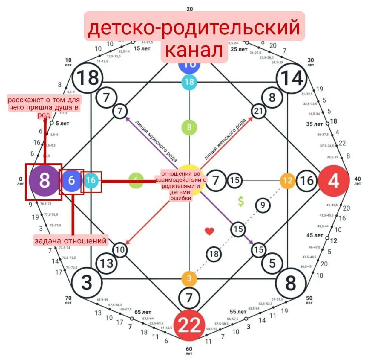 Матрица по годам жизни. Amalfi Matrix матрица судьбы. Матрица судьбы Натальи Ладини. Нумерология матрица судьбы Ладини. Таро нумерология матрица судьбы.