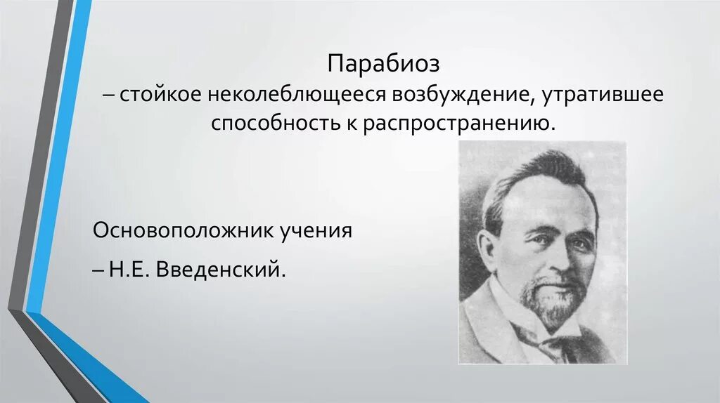 Учение введенского о парабиозе. Парабиоз физиология причины. Введенского о парабиозе. Лабильность введенский. Е.