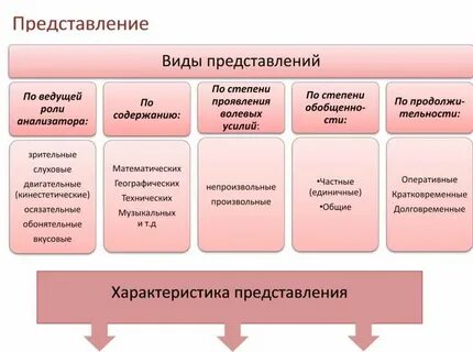 Виды зрительных представлений