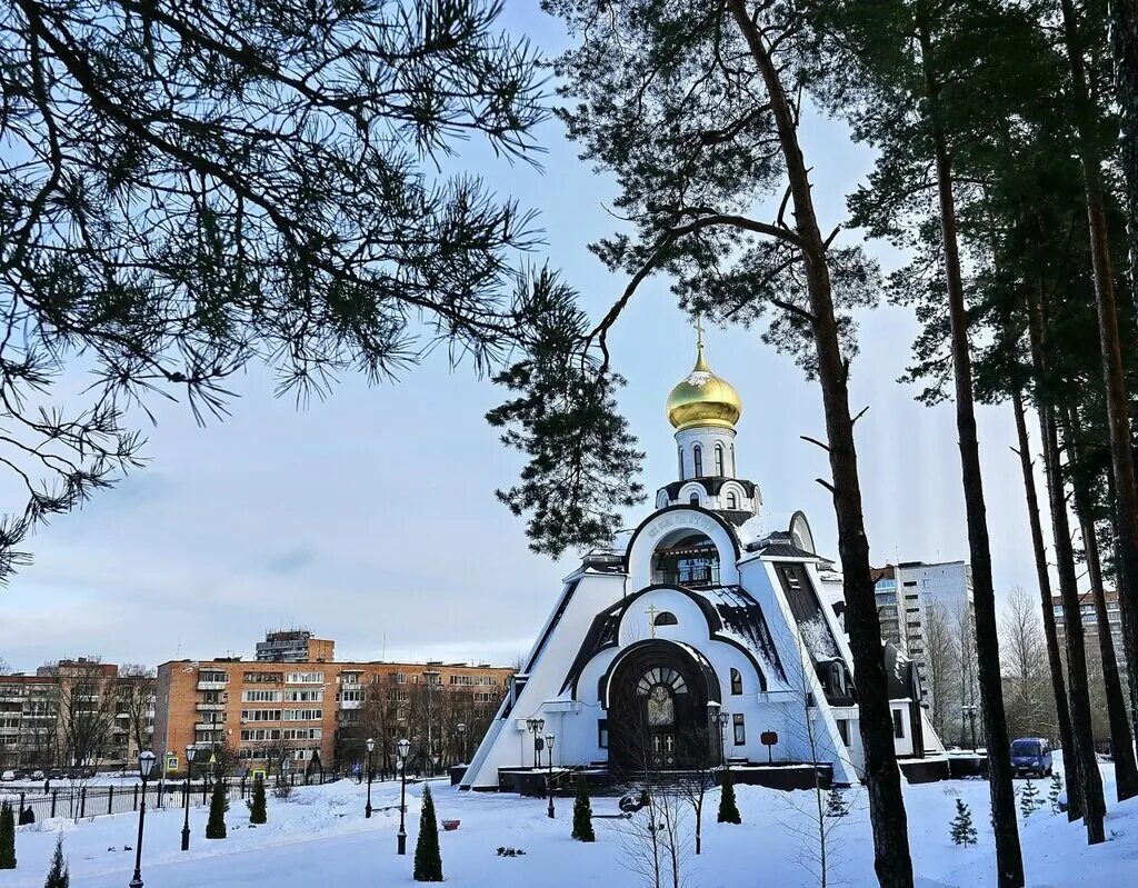 Площадь в сосновом бору