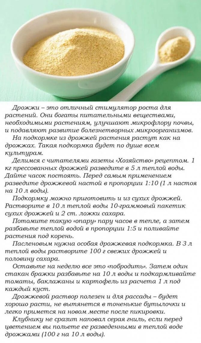 Подкормка рассады сухими дрожжами. Дрожжевая подкормка для растений. Сухие дрожжи для подкормки растений. Подкормка из сухих дрожжей для растений. Сухие дрожжи для удобрения цветка.