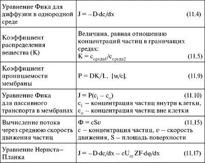 Уравнение фика