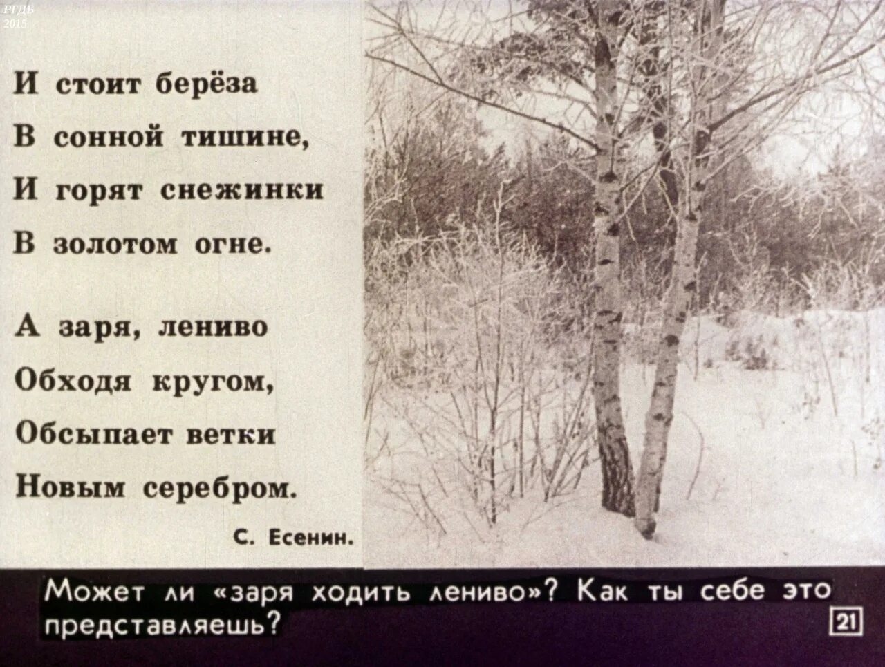 Стояла береза косой как наш дом. И стоит береза в сонной тишине. а заря лениво обходя кругом обсыпает ветки новым серебром. и горят березы в сонной тишине и горят снежинки. и стоит береза в сонной тишине и горят снежинки.