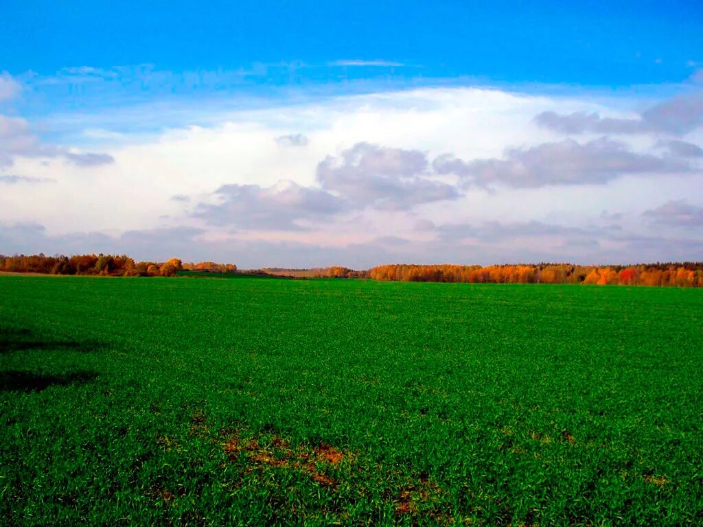 Участок 300 соток. Земельный пай сельхозназначения. Осташковский район тверская область озеро рясное. Малое новосурино. Рязанская область михайловский район деревня рачатники на карте.