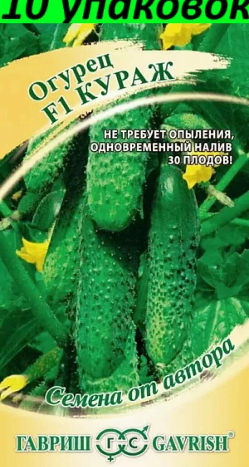 семена огурцов кураж. семена огурец кураж гавриш. семена огурцов кураж. семена огурцов кураж. гавриш огурец кураж f1.
