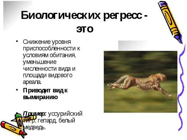 Биологический регресс. Примеры регресса в обществе. Биологический процесс и биологический регресс. Уменьшение регресс. Пути биологического регресса.