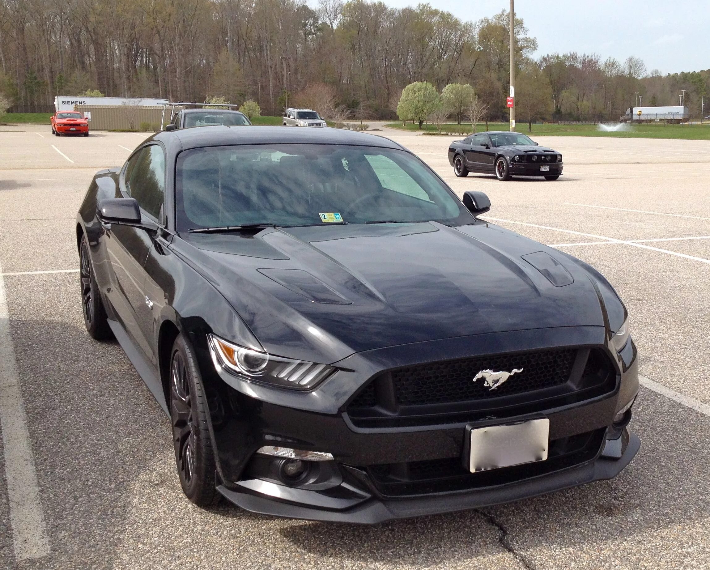 Ягуар мустанг. Синий мустанг. Ford mustang steeda. Мустанг порше ягуар. Ягуар мустанг.