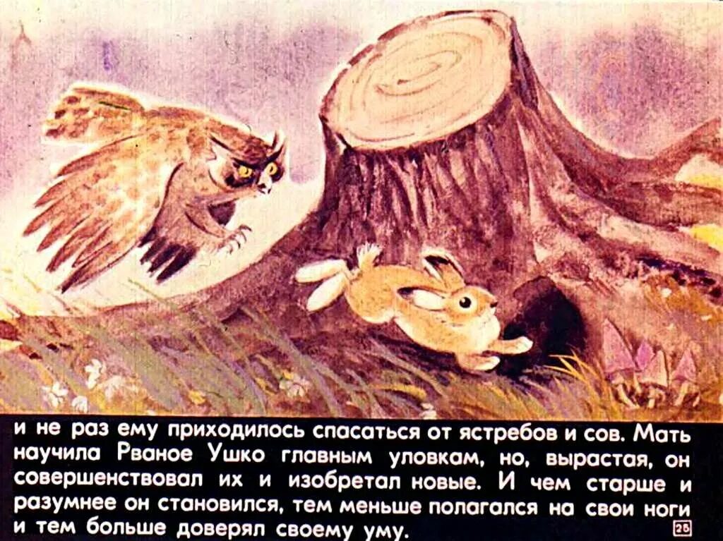 Сетон томпсон рваное ушко. Рваное ушко сетон томпсон. эрнест сетон-томпсон рваное ушко. сказка рваное ушко. рваное ушко книга.
