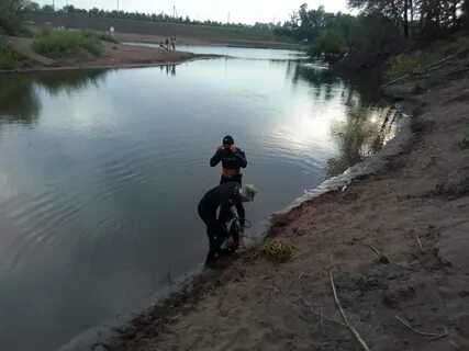 Рыболовный бузулук