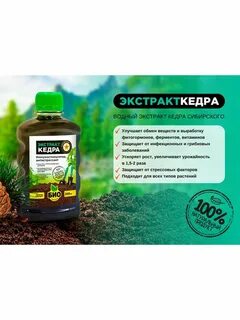 Био кедр отзывы