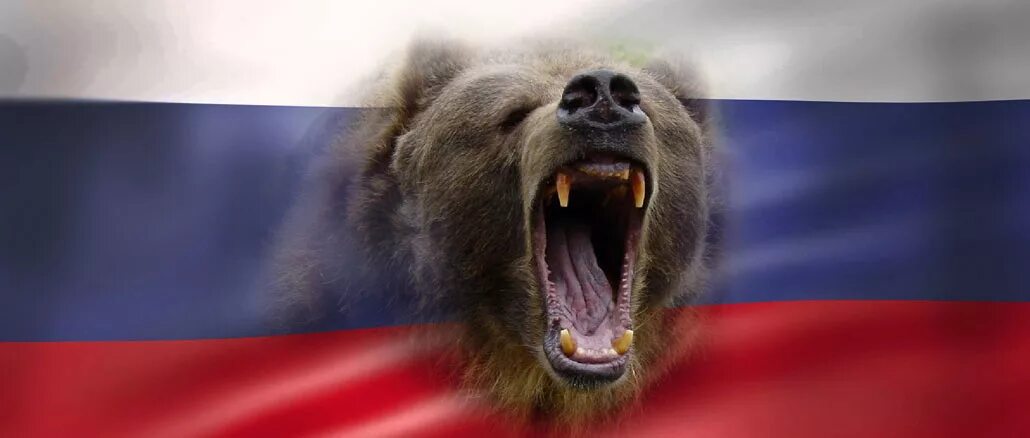 Медведь Россия. Русский флаг с медведем. Медведь на фоне флага. Медведтс флагом России.