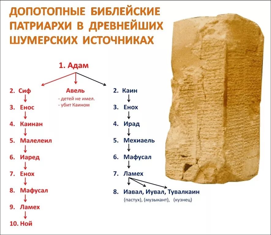 патриарх в библии 5 букв. патриарх в библии 5 букв. патриарх алексий 2 цитаты. библейский патриарх 5 дед ноя. кротость и смирение в православии.