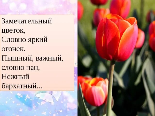 Словно травы шелестят слова как слова и травы в жизни. Нино басилая. Есть на свете цветок слова. Красивые стихи про розы. Есть на свете цветок алый алый текст.