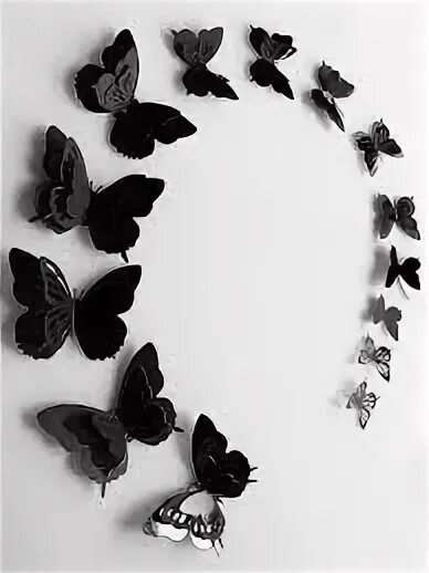 Papillons noirs