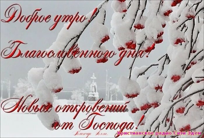 Православного зимнего доброго утра. Доброго зимнего воскресного дня. С воскресным зимним днем. Хорошего воскресенья зимой. Доброе зимнее утро благословенного дня.