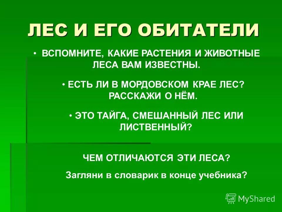 берегите леса сочинение. осенний лес сочинение. рассказ про осенний лес. сочинение про лес 6 класс. сочинение на тему леса.